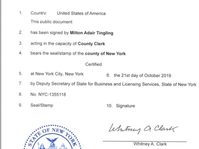 美国海牙认证/附加证明书办理/apostille/寄养儿童委托书/​美国公司注册证书/文件海牙认证 - 1/1