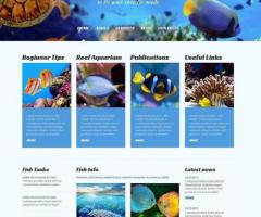 美国水族館寵物店美容院貓狗網站建設網頁設計518-956-5673